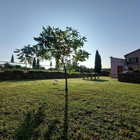 Podere S.Giulia - Casale S.Giulia Ріоторто Екстер'єр фото